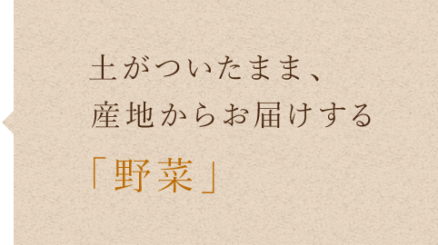 産地からお届けする「野菜」