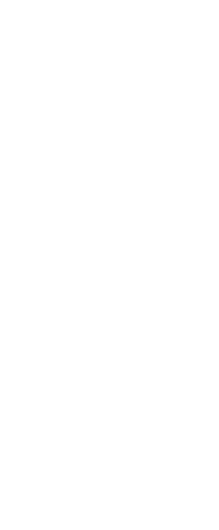 御膳スタイルで華やぐランチ