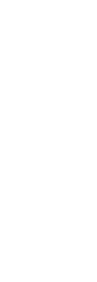 贅沢なディナーを