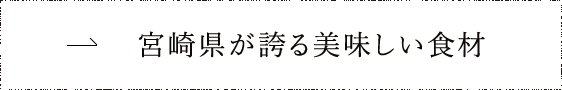 宮崎県が誇る美味しい食材