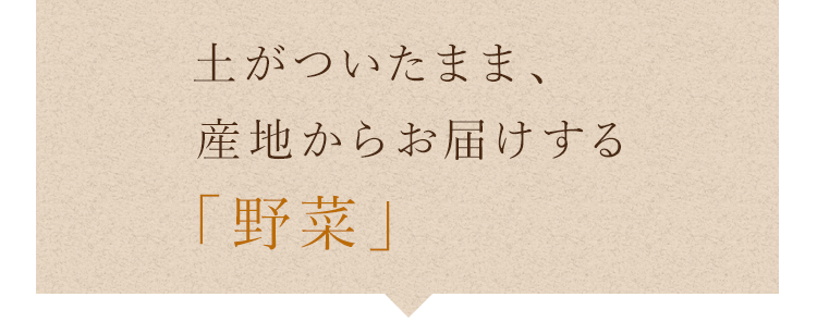 産地からお届けする「野菜」