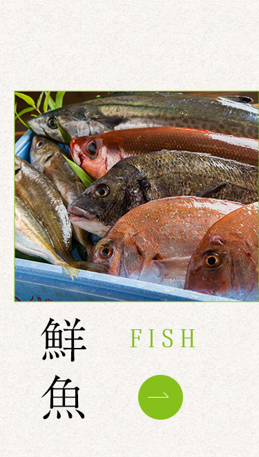 鮮魚