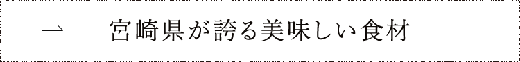 宮崎県が誇る美味しい食材